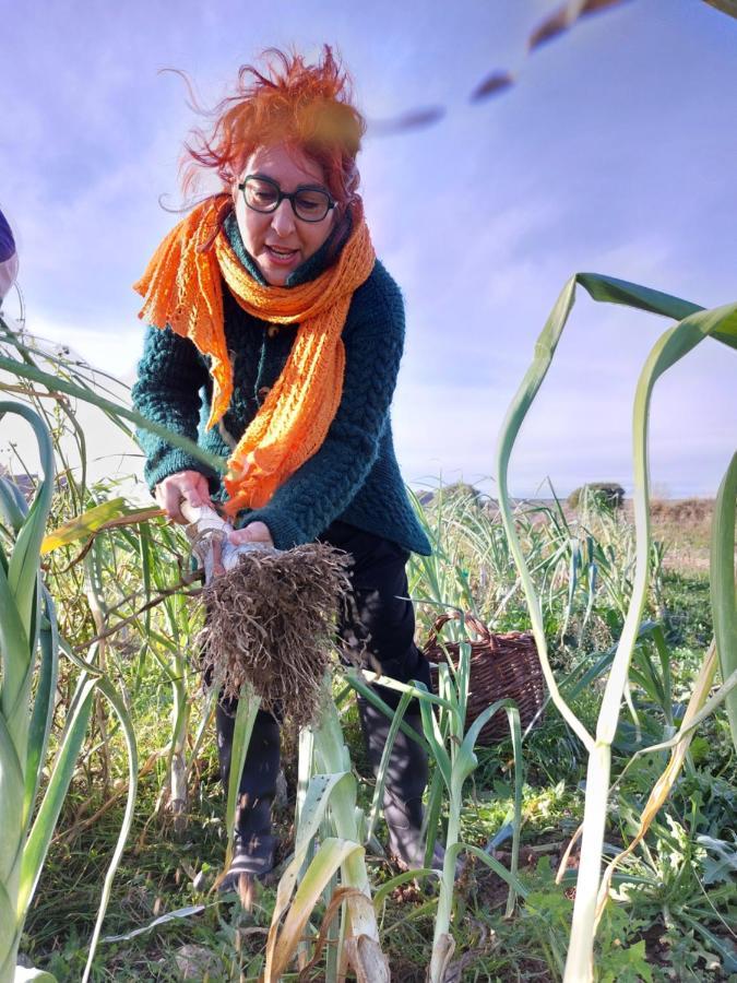 Turismo Rural La Ojinegra Alloza ภายนอก รูปภาพ
